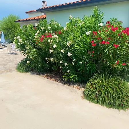 Alba Villa *